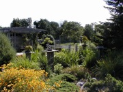 August Garden