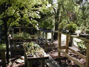 Gravel benches